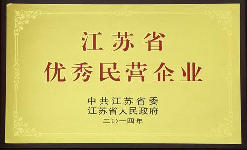 江蘇省優(yōu)秀民營(yíng)企業(yè)